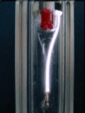 Plasma live experiment